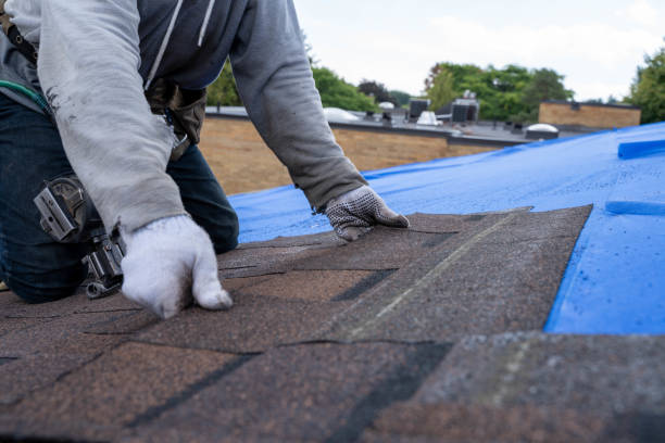 Best Chimney Flashing Repair  in Ash Flat, AR